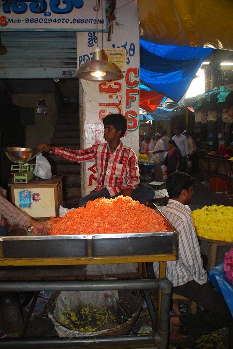 Indien2013-532_rs