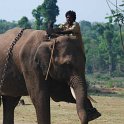 Indien2013-591_rs