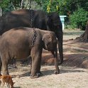 Indien2013-594_rs