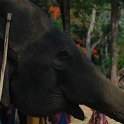 Indien2013-622_rs