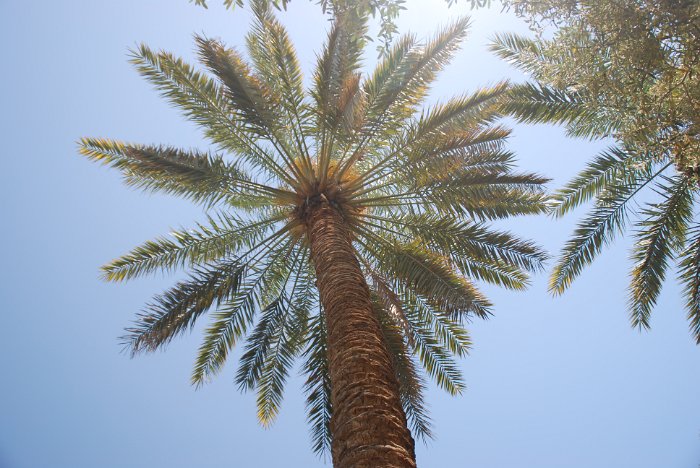 tunesien0190-tamerza