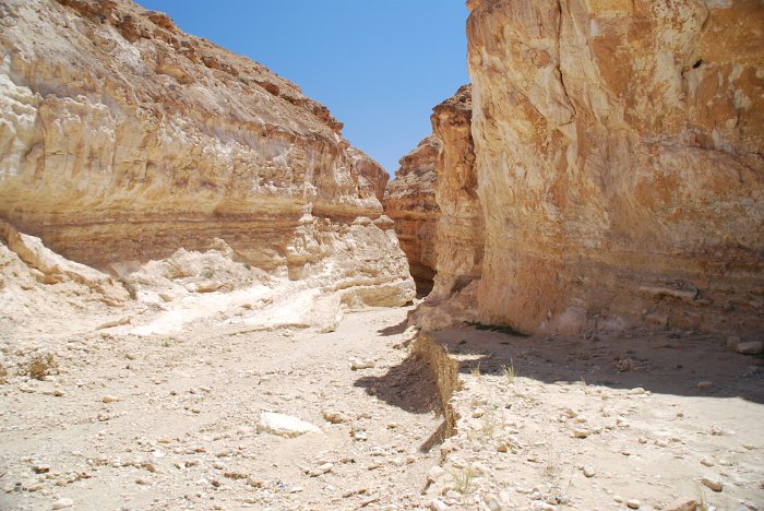 tunesien0194-tamerza