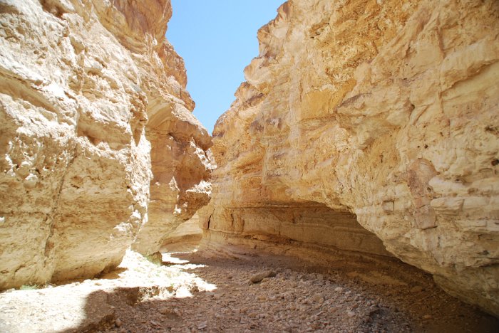 tunesien0195-tamerza