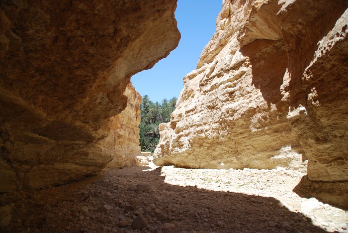 tunesien0197-tamerza