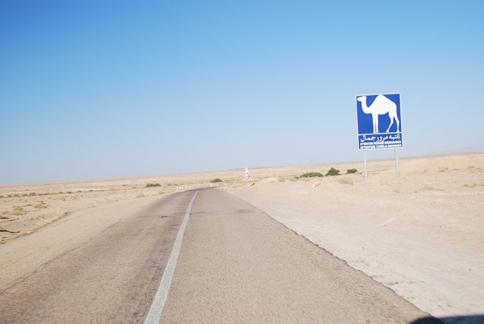 tunesien0272-chot el gharsa