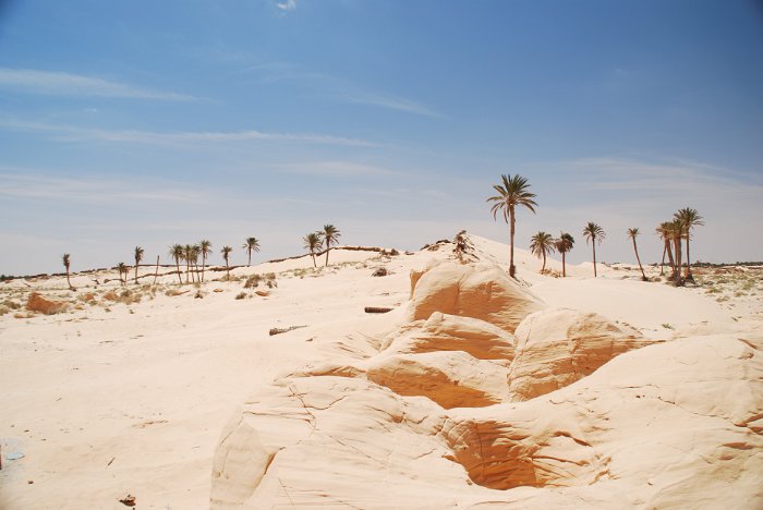 tunesien0382-chot el jerid