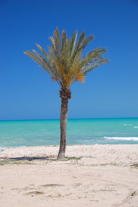 tunesien0651-djerba