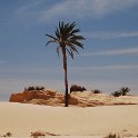 tunesien0378-chot el jerid
