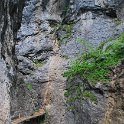 tunesien0828-schweiz aareschlucht